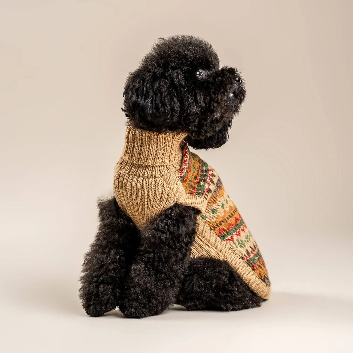 Alqo Wasi | Fair Isle Finn - Peruvian Alpaca Dog Jumper