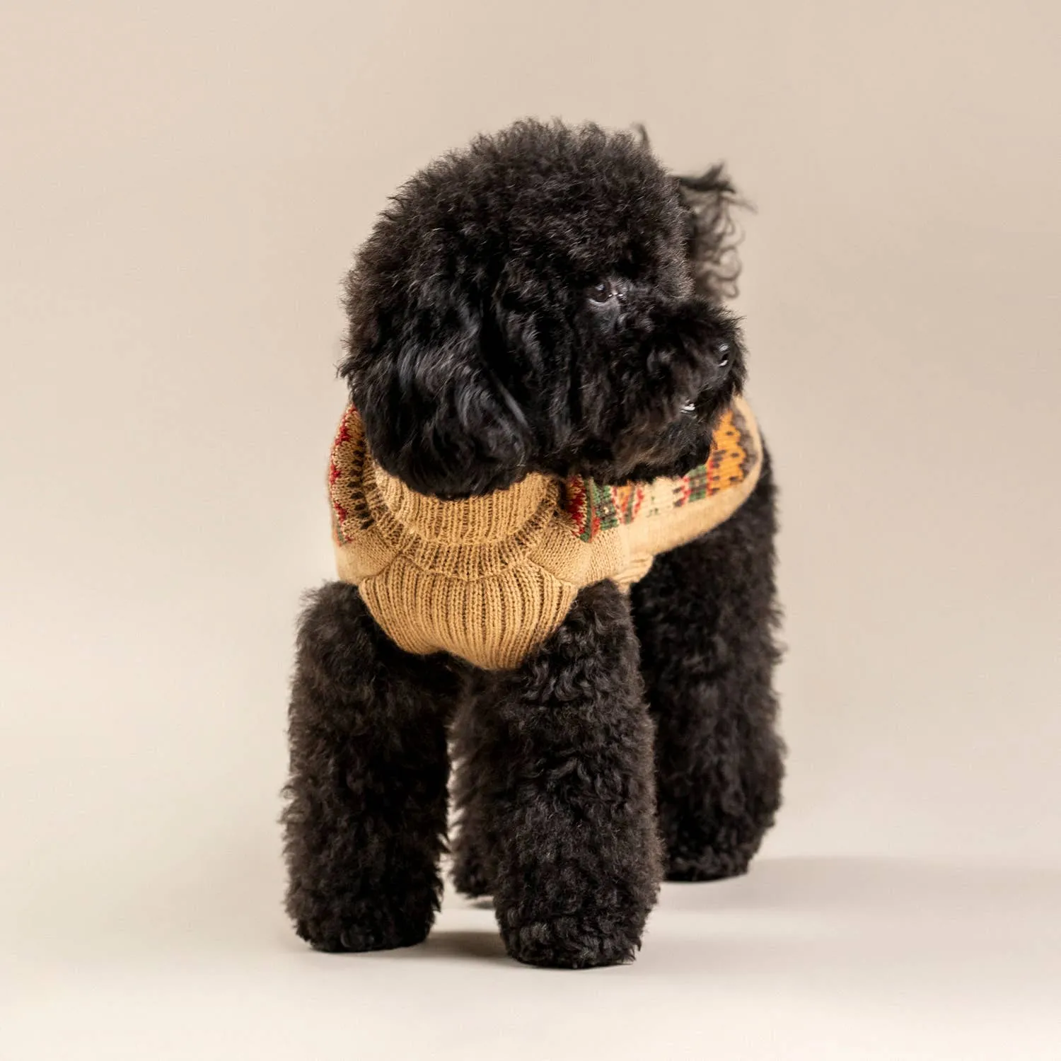 Alqo Wasi | Fair Isle Finn - Peruvian Alpaca Dog Jumper