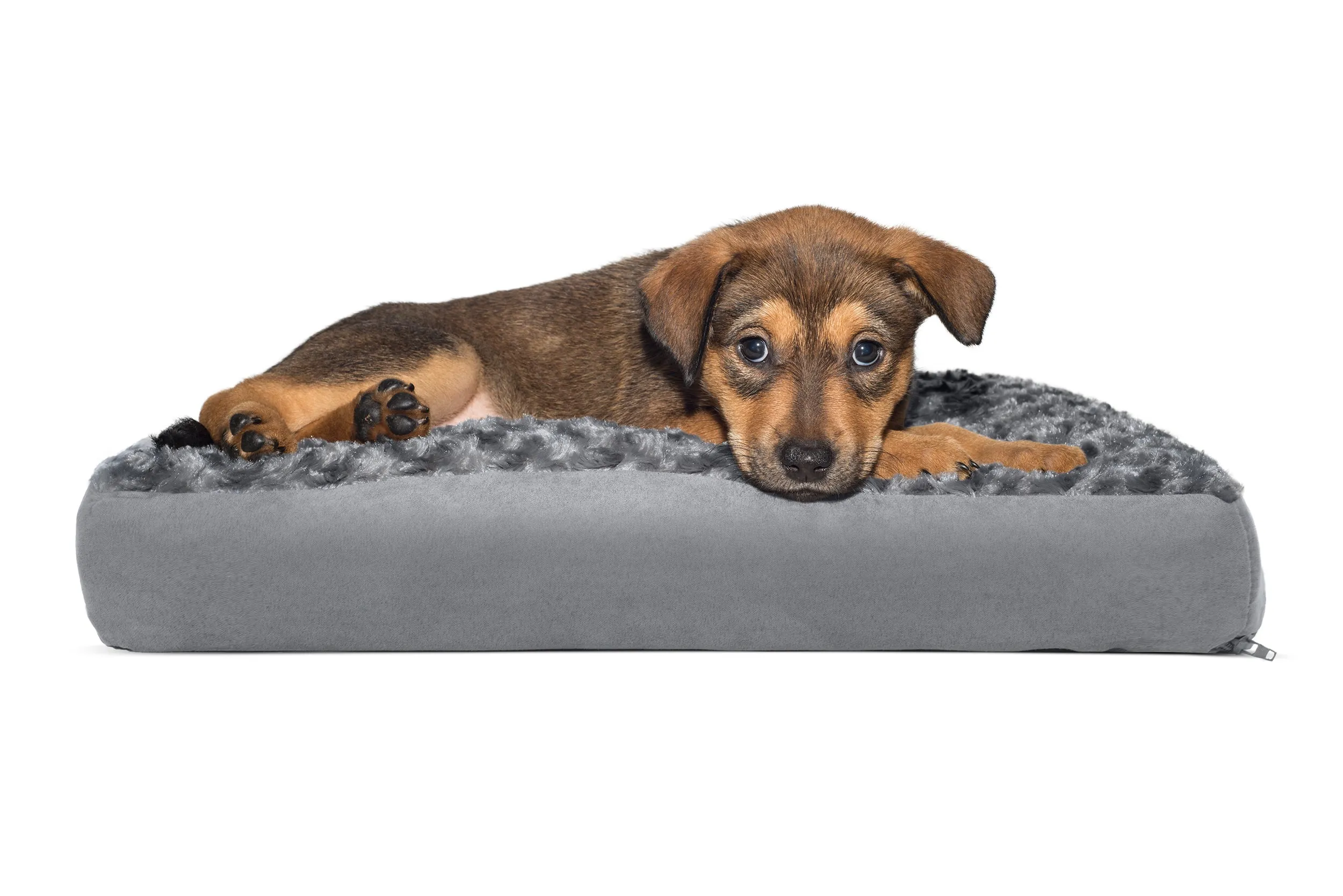 Deluxe Mattress Dog Bed - Ultra Plush