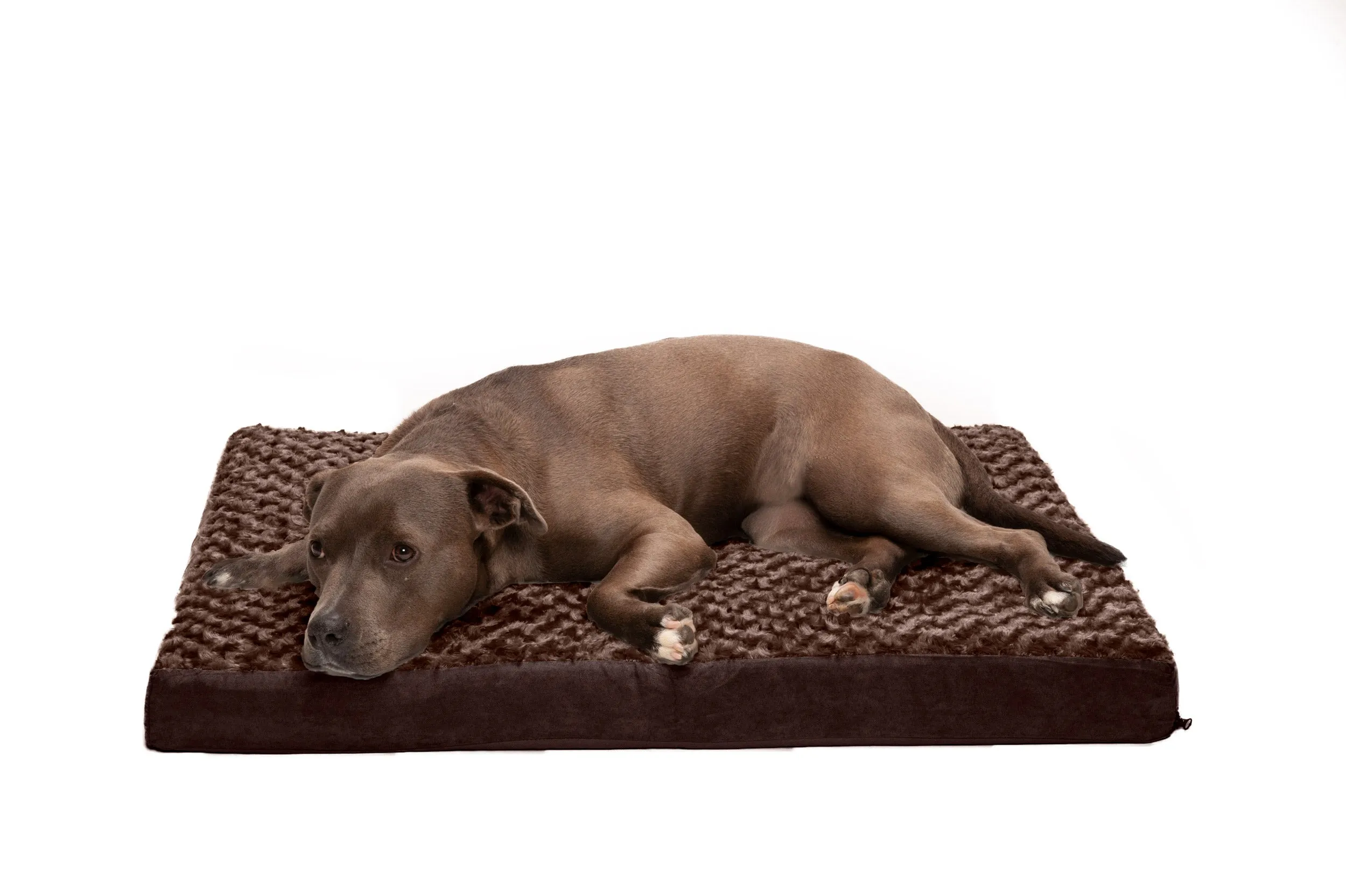 Deluxe Mattress Dog Bed - Ultra Plush