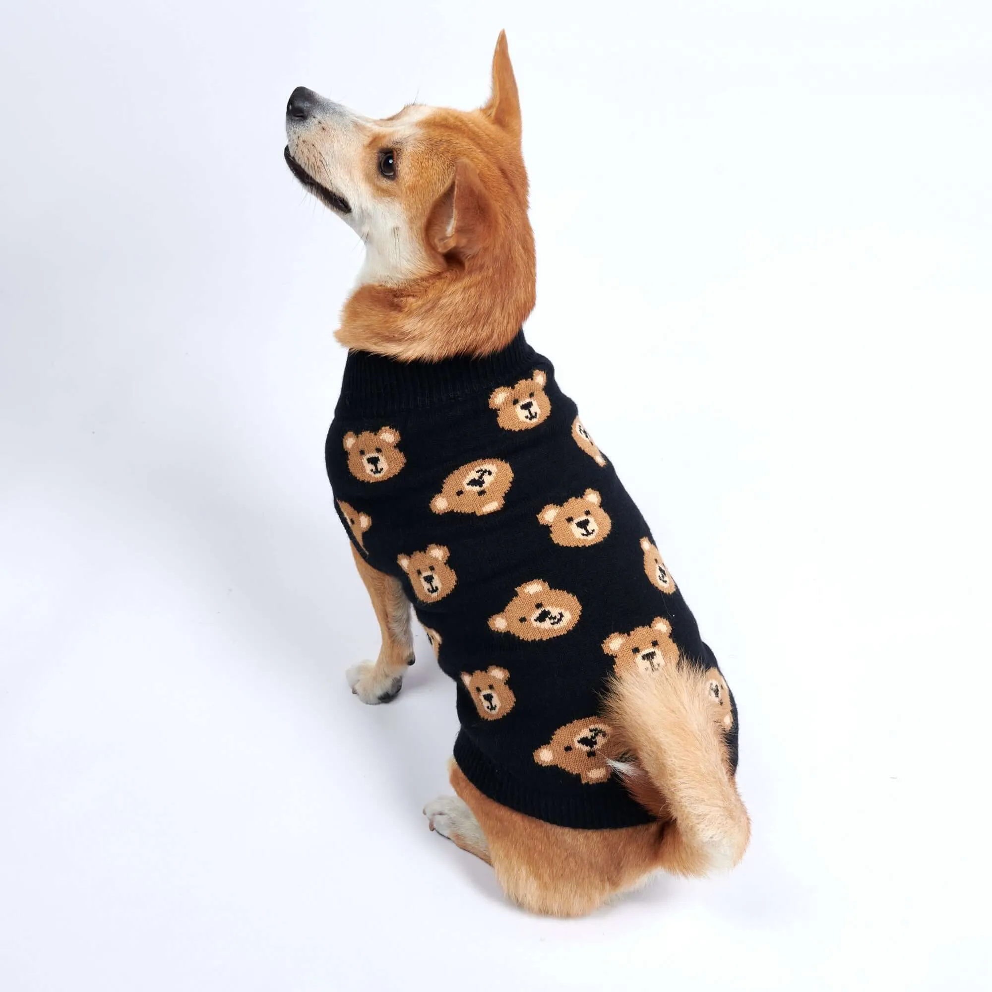 Knit Dog Sweater Prints