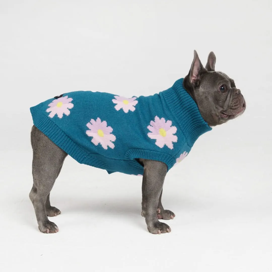 Knit Dog Sweater Prints