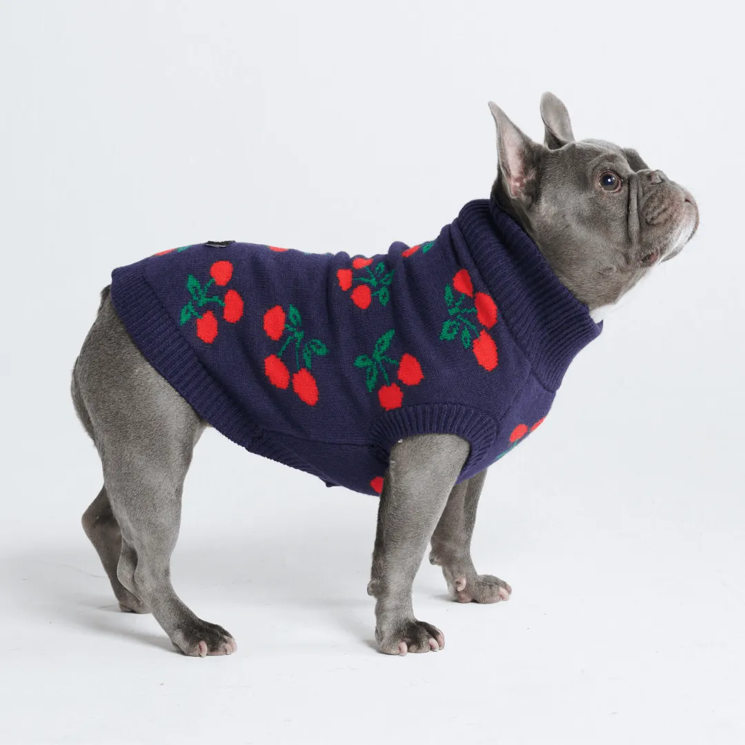 Knit Dog Sweater Prints