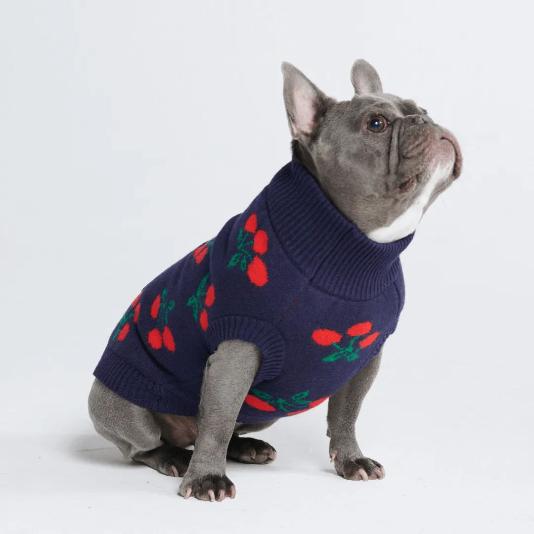 Knit Dog Sweater Prints