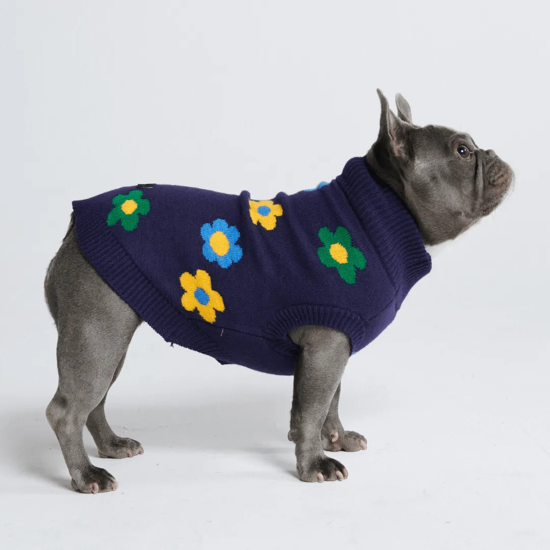 Knit Dog Sweater Prints