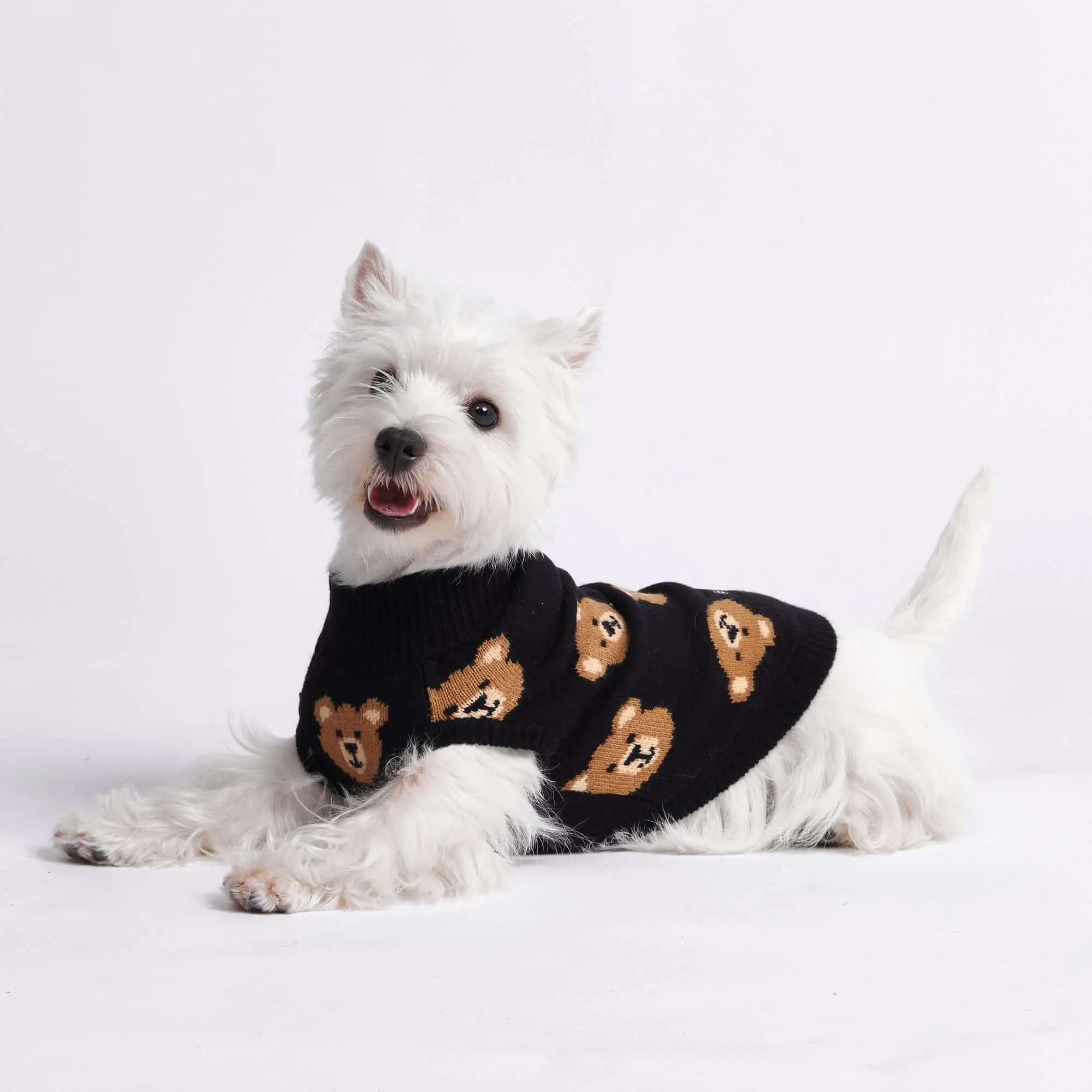 Knit Dog Sweater Prints