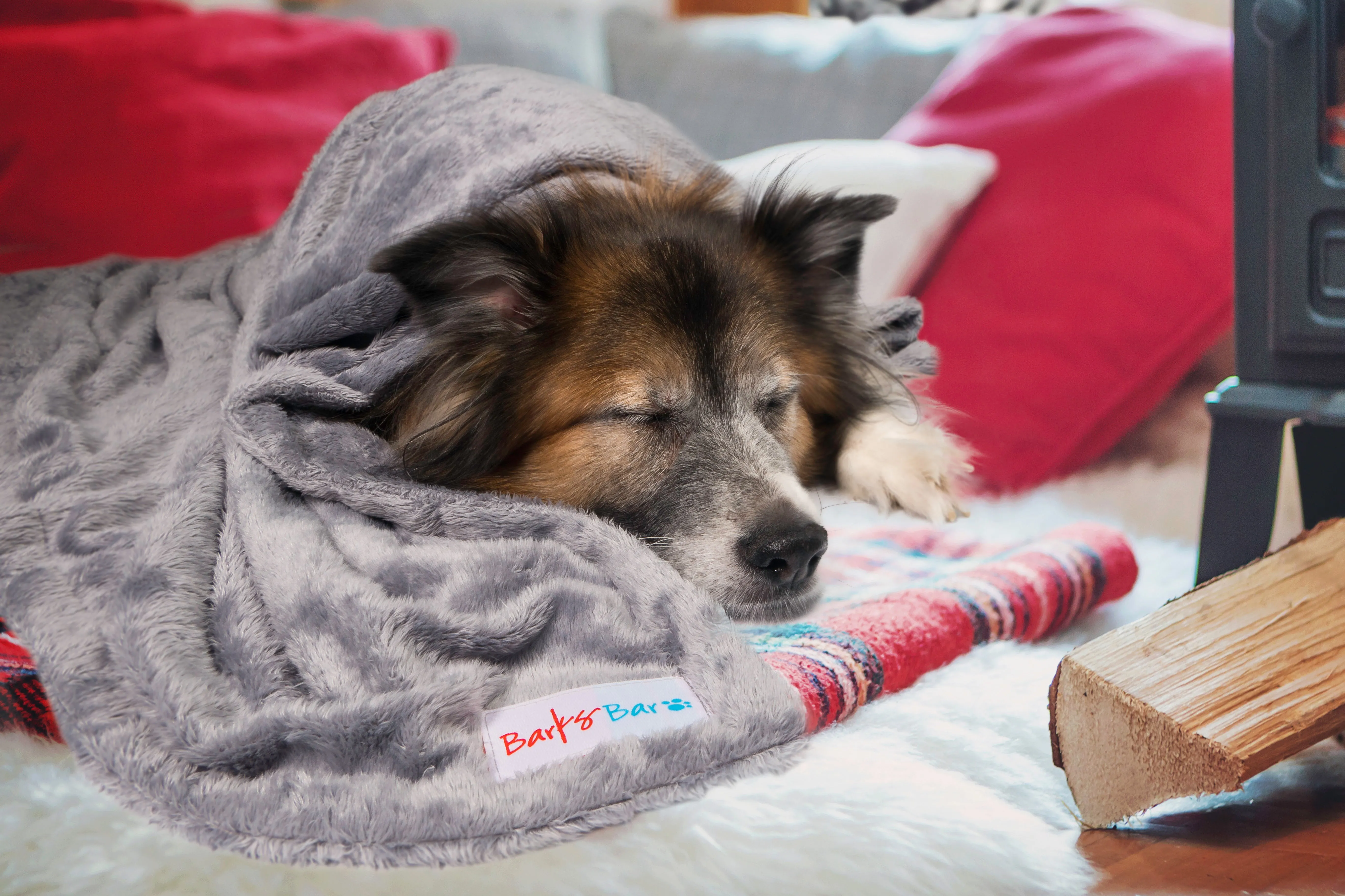 Original Large Blanket For Pets