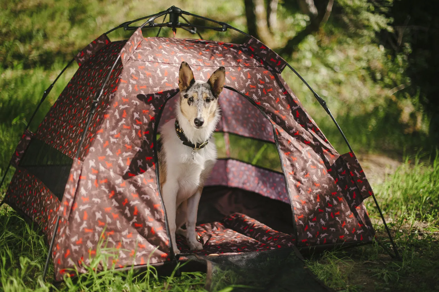 Outdoor Dog Tent