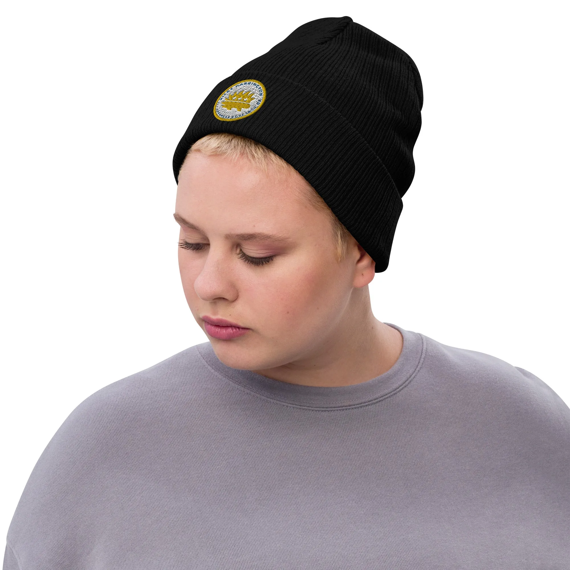 Ricky Harrington for Governor Arkansas Ribbed knit beanie