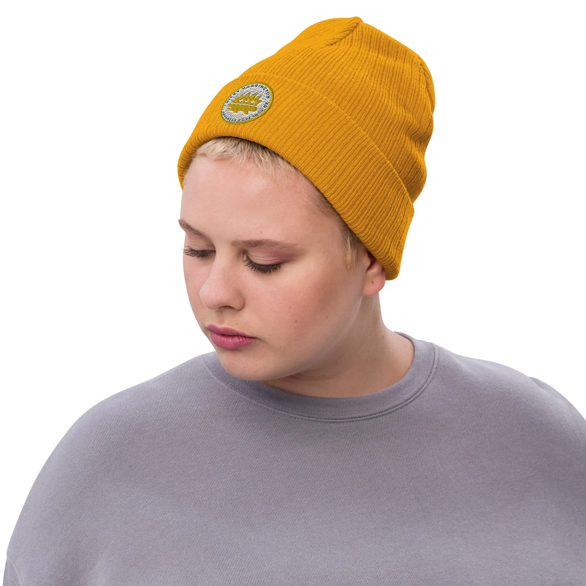 Ricky Harrington for Governor Arkansas Ribbed knit beanie