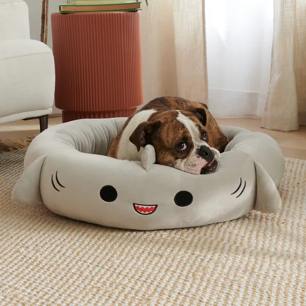 Squishmallows Pet Bed Gordon Shark 24 Inch Med